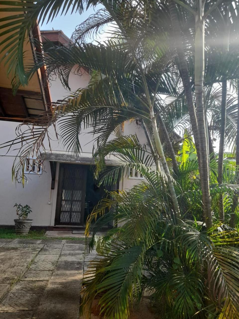 Fuchs Villas Negombo Buitenkant foto
