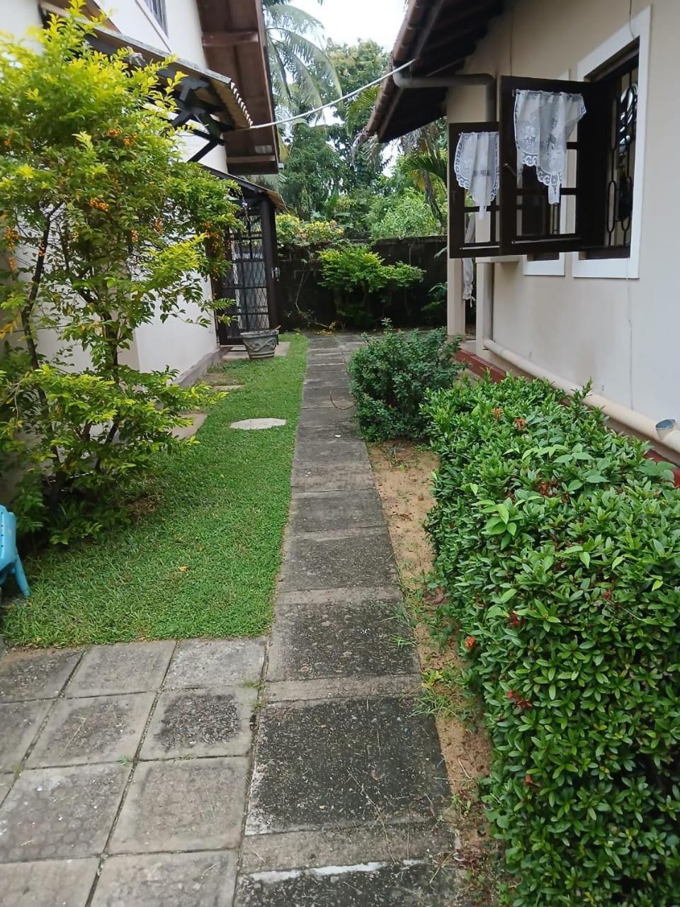Fuchs Villas Negombo Buitenkant foto