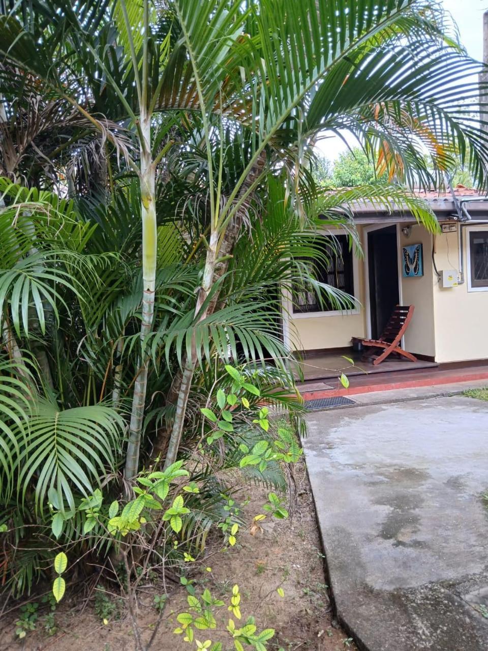 Fuchs Villas Negombo Buitenkant foto